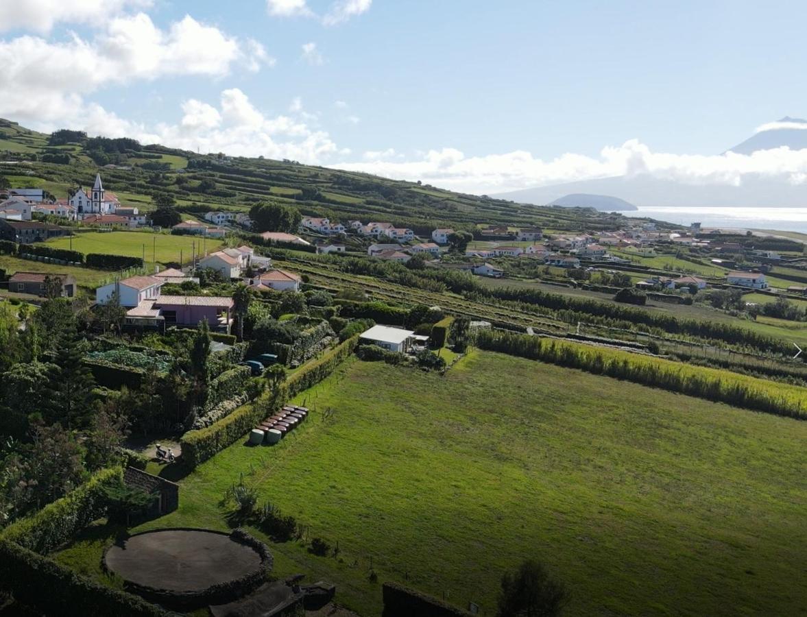 Quinta Da Meia Eira Castelo Branco  Εξωτερικό φωτογραφία